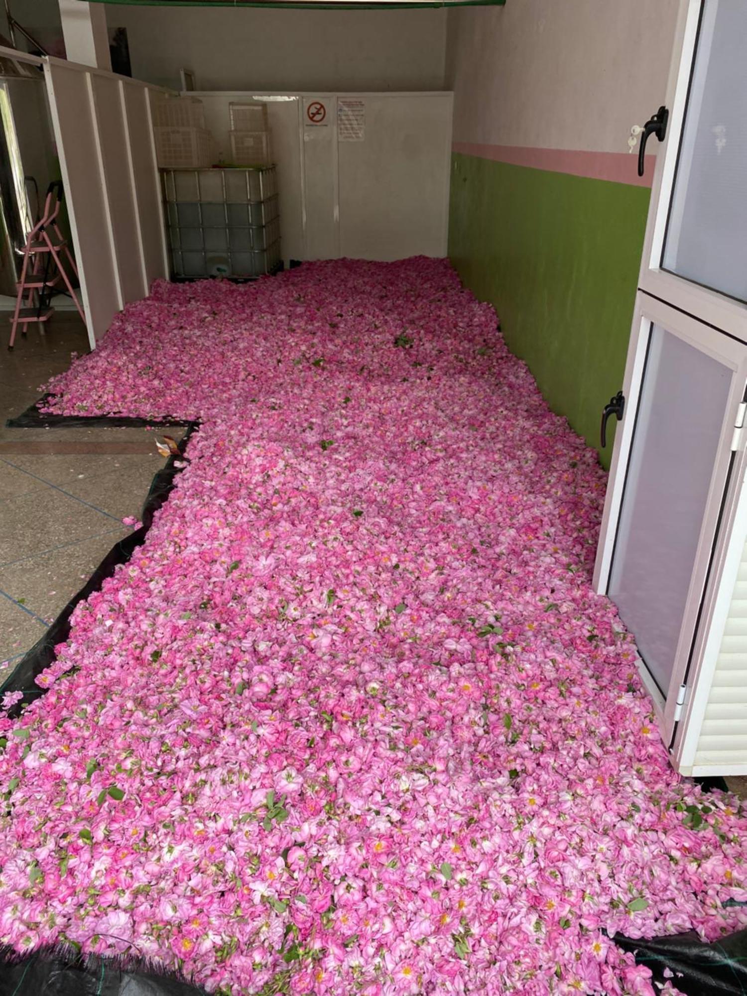 Dar Mgouna Roses Kelaat-M'Gouna Exteriér fotografie